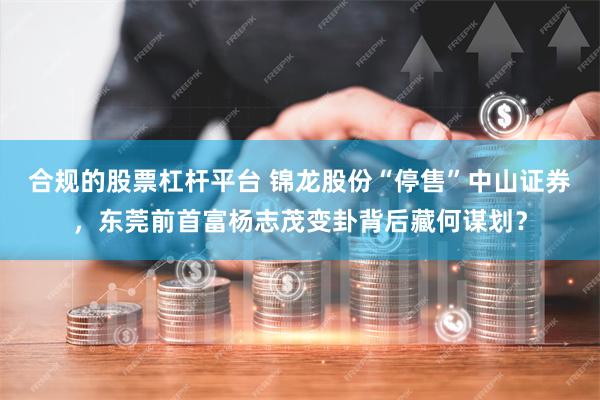 合规的股票杠杆平台 锦龙股份“停售”中山证券，东莞前首富杨志茂变卦背后藏何谋划？