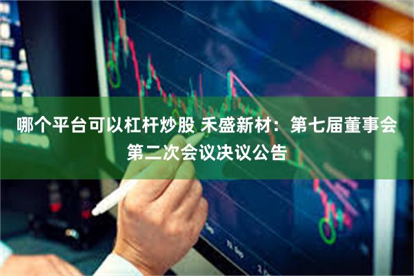 哪个平台可以杠杆炒股 禾盛新材：第七届董事会第二次会议决议公告