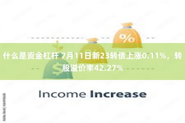 什么是资金杠杆 7月11日新23转债上涨0.11%，转股溢价率42.27%