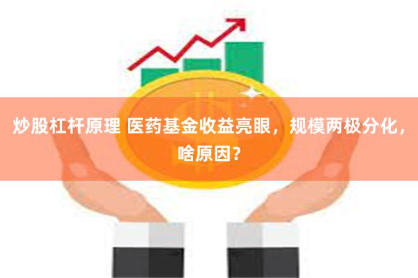 炒股杠杆原理 医药基金收益亮眼，规模两极分化，啥原因？