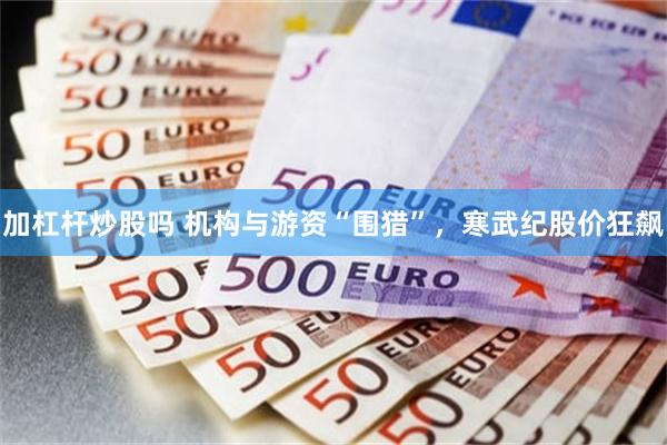 加杠杆炒股吗 机构与游资“围猎”，寒武纪股价狂飙