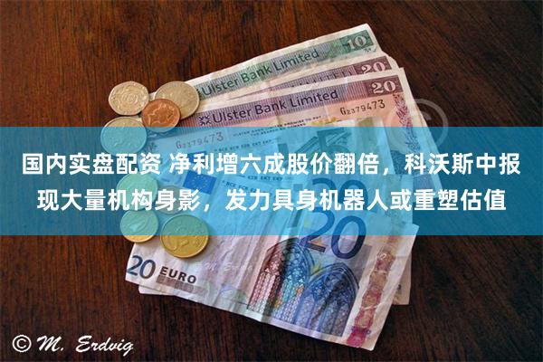 国内实盘配资 净利增六成股价翻倍，科沃斯中报现大量机构身影，发力具身机器人或重塑估值