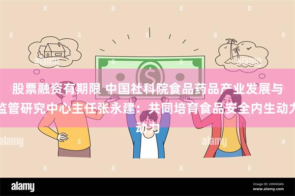股票融资有期限 中国社科院食品药品产业发展与监管研究中心主任张永建：共同培育食品安全内生动力